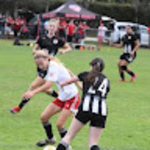 Meet your Posher, Lyla